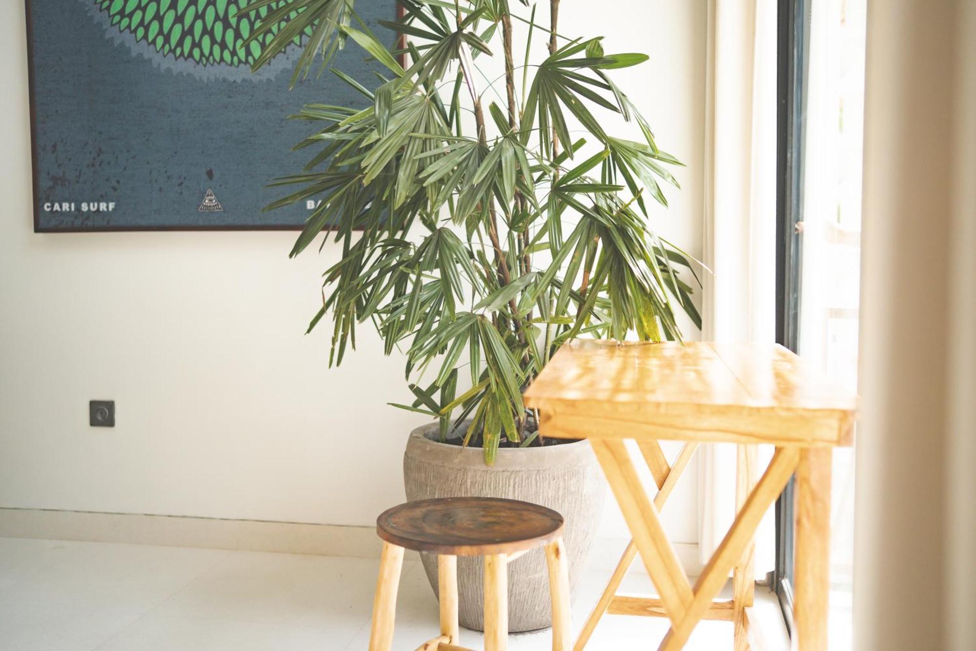 Cari Surf Camp & Studio'S ウルワツ 部屋 写真