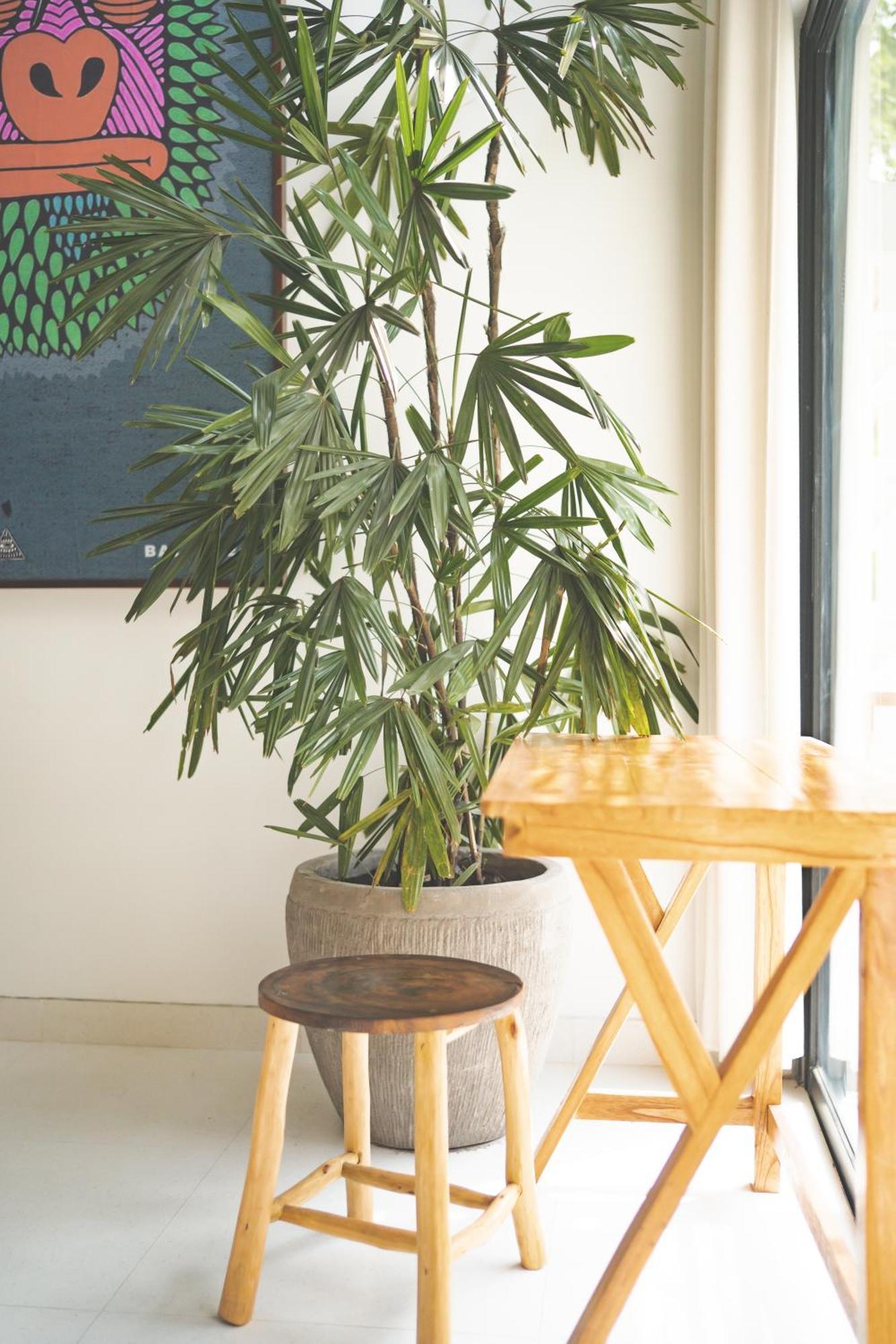 Cari Surf Camp & Studio'S ウルワツ 部屋 写真