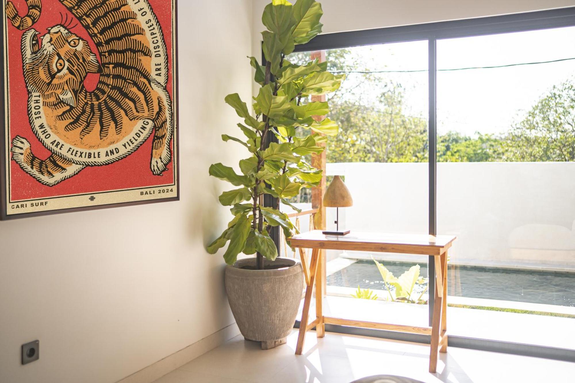 Cari Surf Camp & Studio'S ウルワツ 部屋 写真
